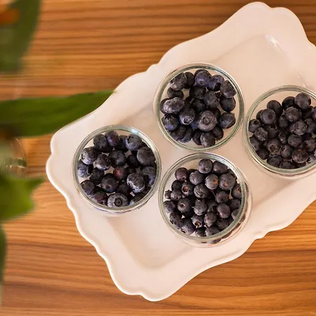 Penzion L'acero Sublime Feriolo